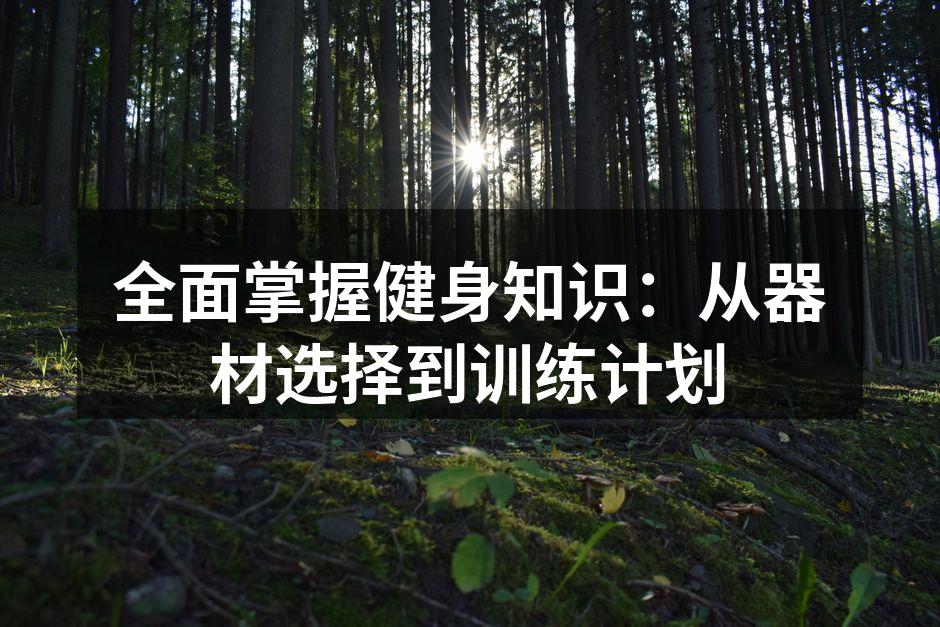 全面掌握健身知识：从器材选择到训练计划