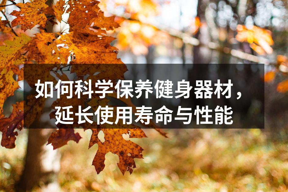 全面提升健身效果的科学方法与器材选择指南