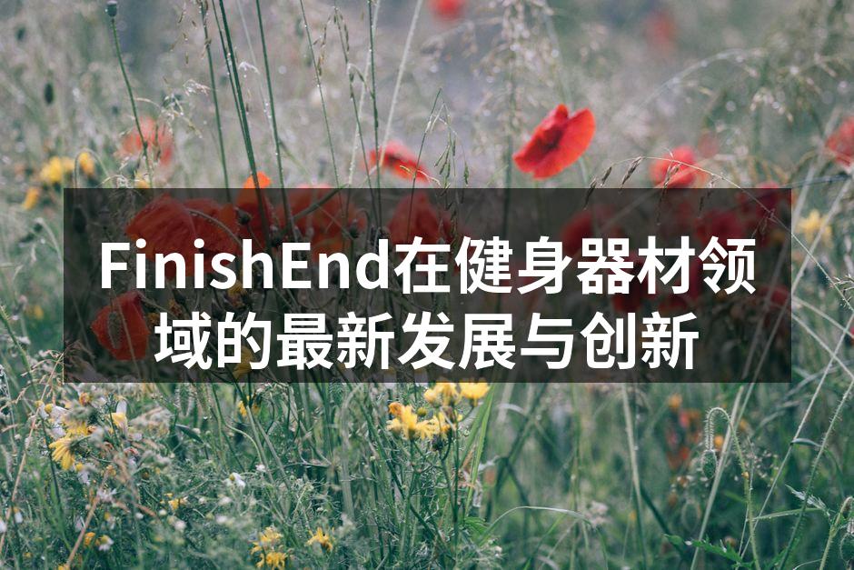 FinishEnd新产品展示